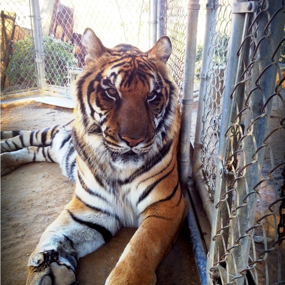 Meet your Posher, Susan - Picture 11 of 16